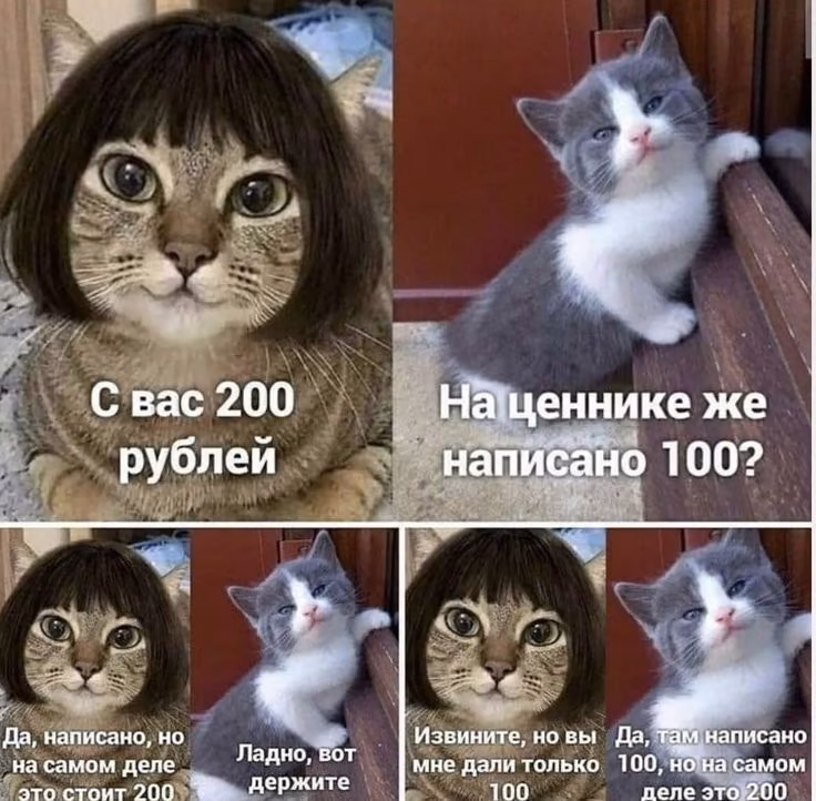 7827307ec2141604186c4ee116ec300d.jpg