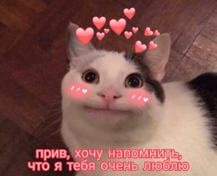 78281e84420bcd70c94bb68b55d15707.avif