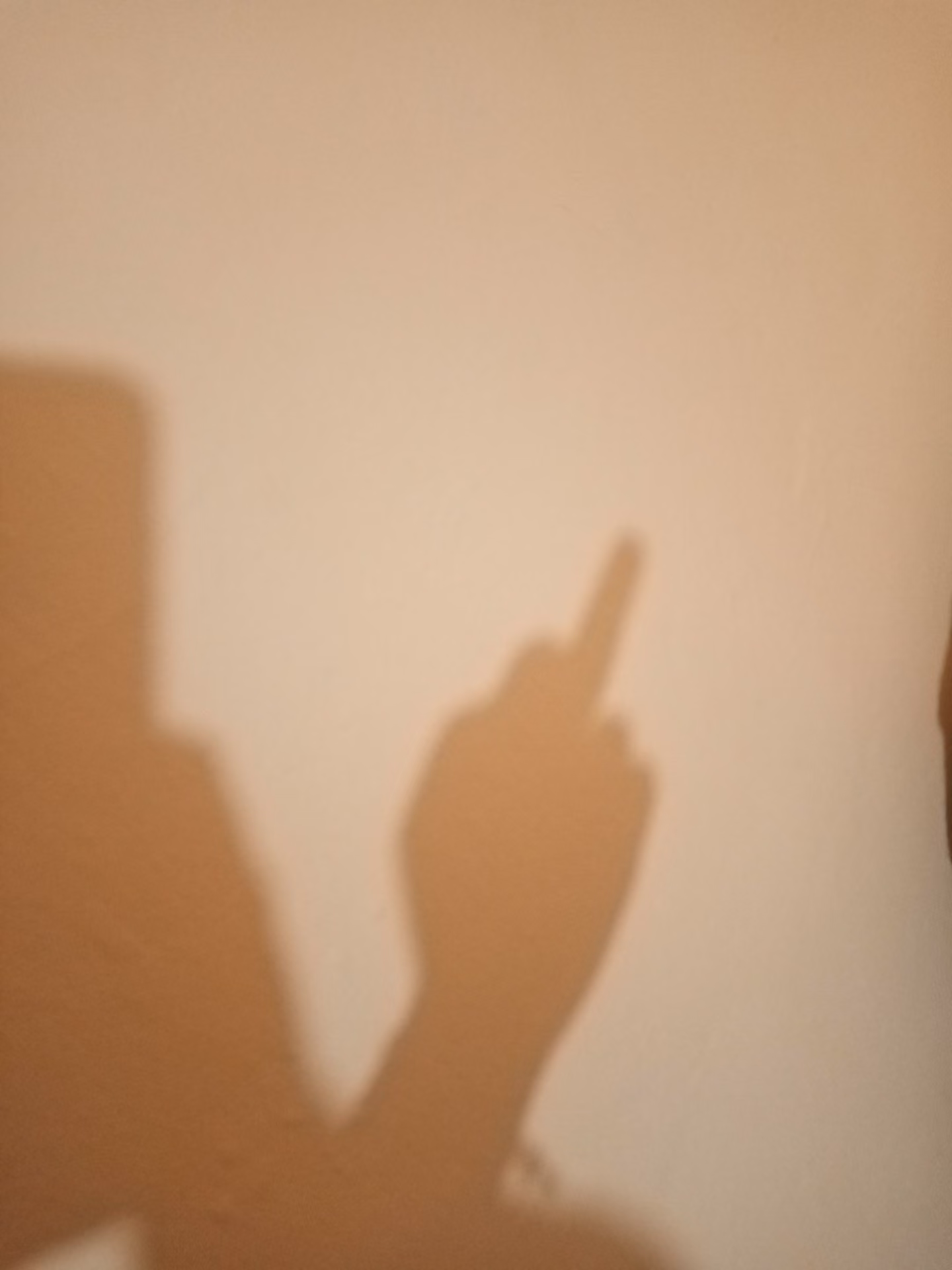 782e4c94ab62847950883bb1f61090a2.jpg