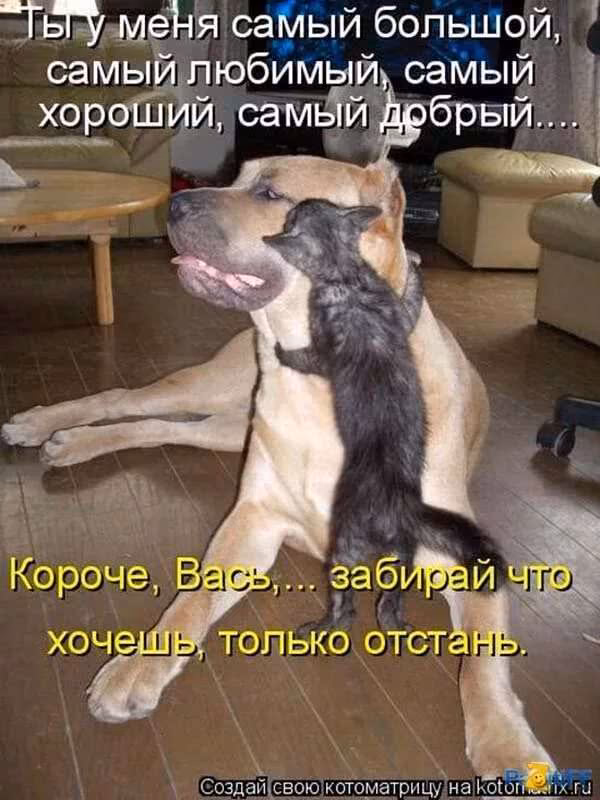 7852ad6cc7e59ffd3fb7478f31cfe725.jpg