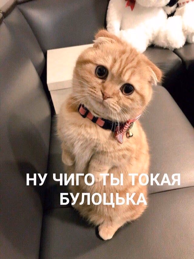 78625e5570b7b2a622f67f30e17ffac6.jpg