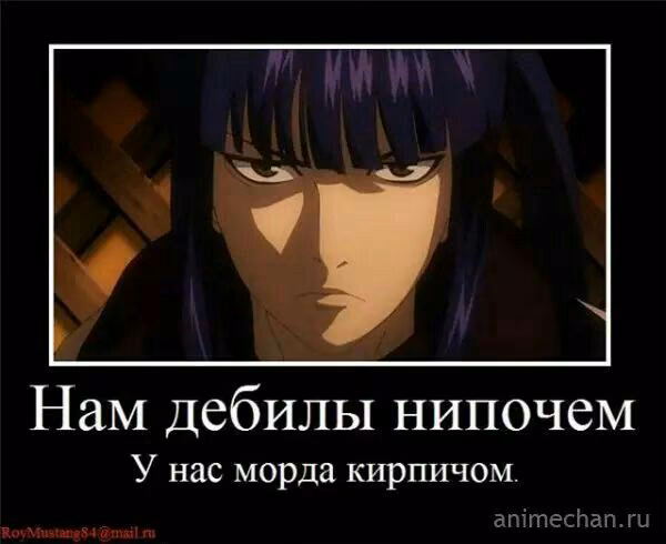 786b9a0b9fe3550870308b7e305f1c9a.jpg