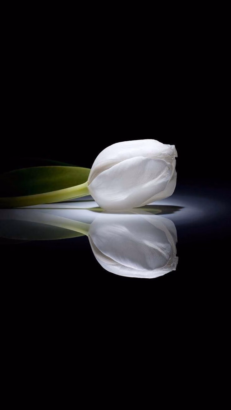 787c35b3de7985c022f10eaff632245b.avif