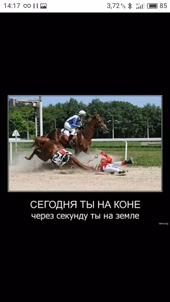 78816fb64cfa49ab84ee5de846fd0a41.avif