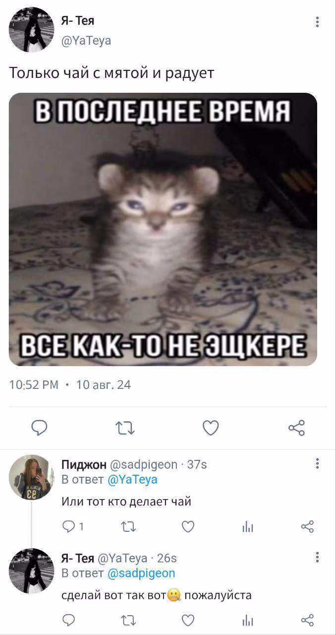 78818209b4dd3a69d0d9b2f4f0ac09ca.avif