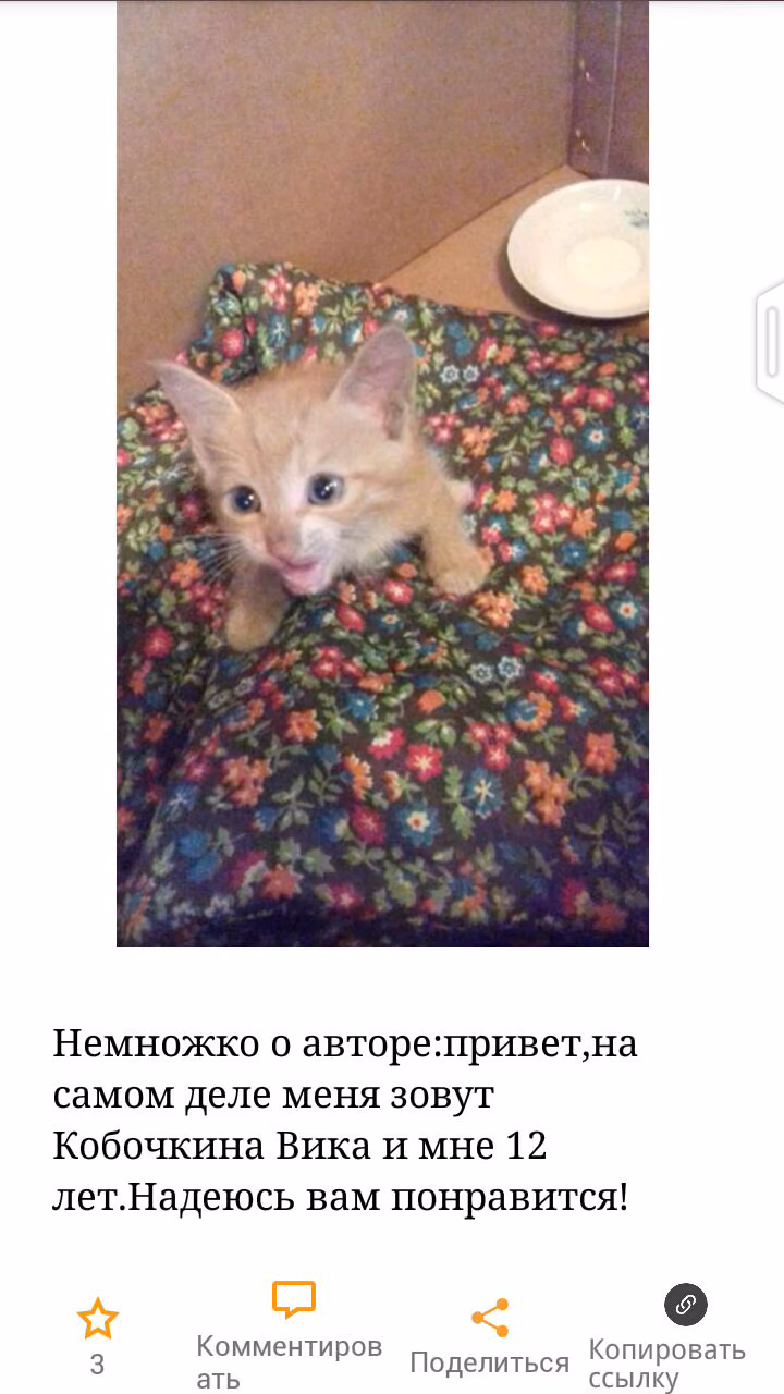 78899c4f95156099bd52f31b6bb85a1f.avif