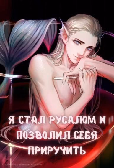78950dd453bc53cbf4fd2bc40104d49e.avif