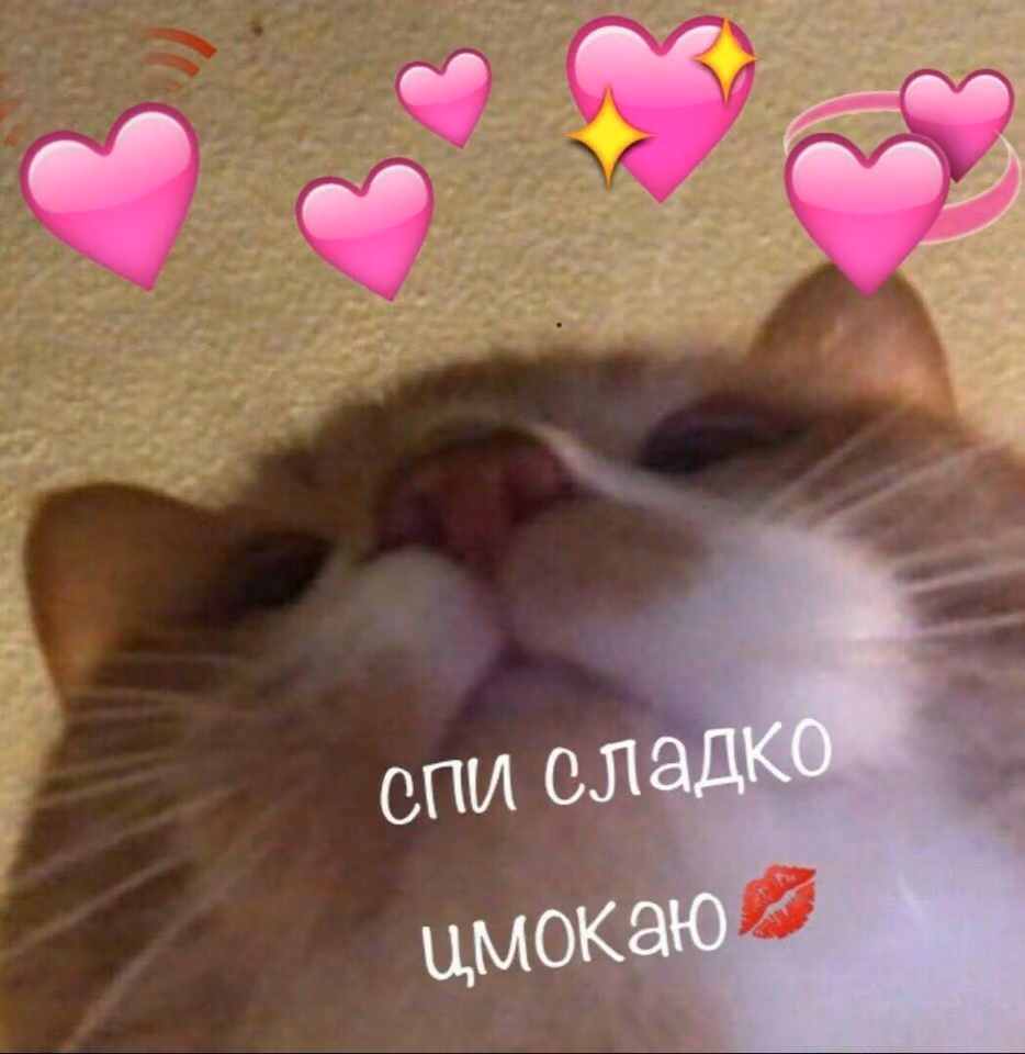 78a1b4aedb6cbb677b184d9a40084b05.jpg