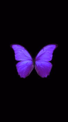 78b2b8cfe6ee4aaecd56ccff0619eccd.avif