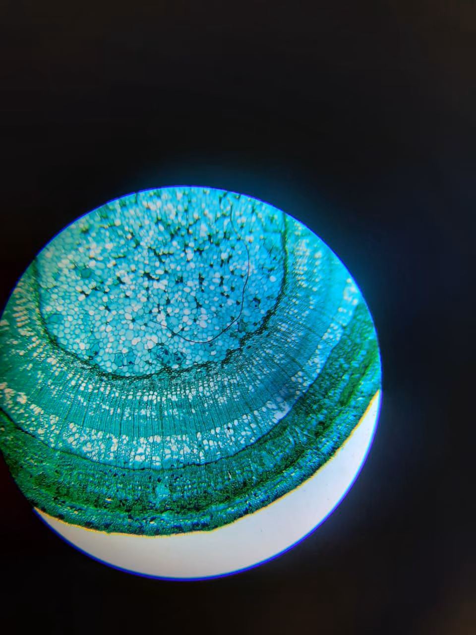78b5bdc958008e72b64f7ad4d583a385.jpg
