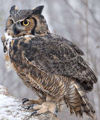 78bb826486153f242b71dd9e2605d235.avif