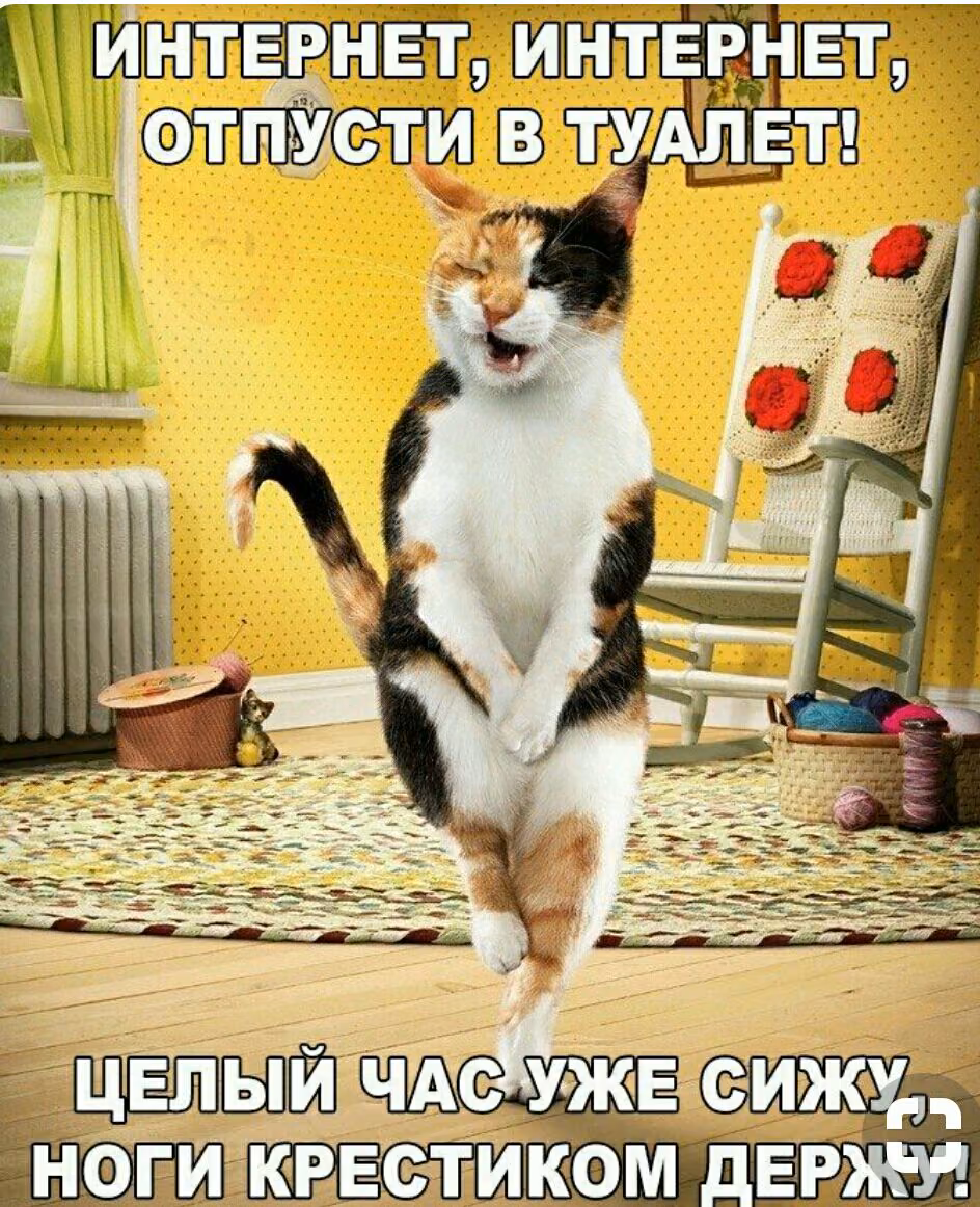 78dd0e16d90669e445474f900029d293.jpg