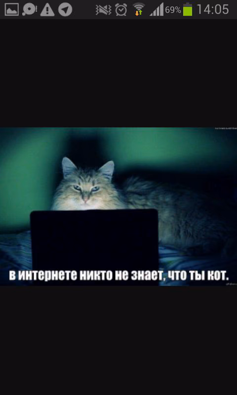 78f632034660d5aa61a5e72f6a6be11c.jpg