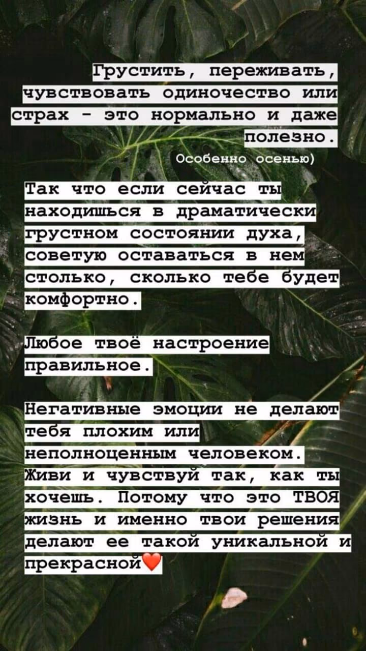 78fe78db1ccadcb54cee8c13326a78b6.jpg
