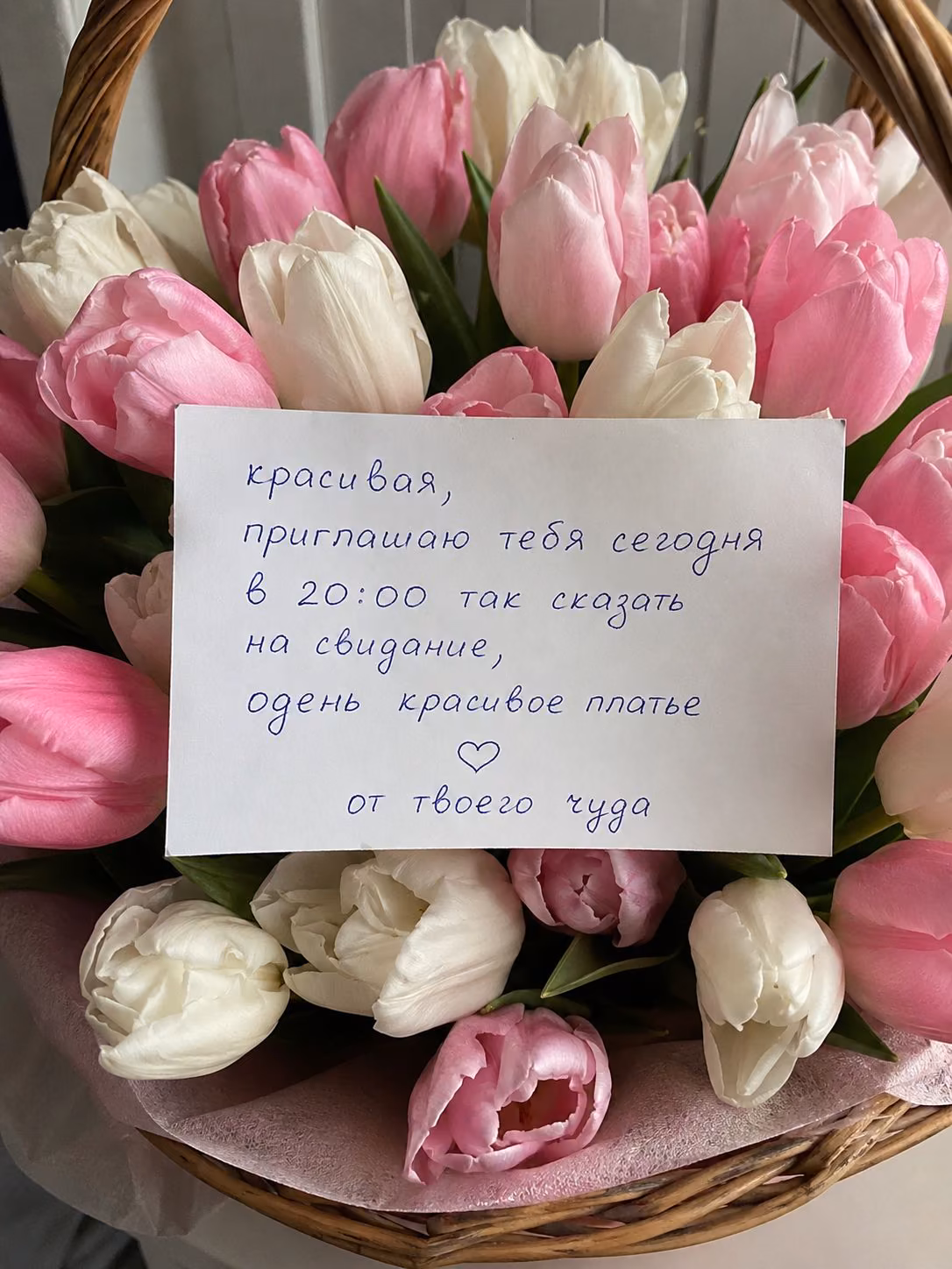 7900264cd25db81c1034627dbe8a7b57.jpg