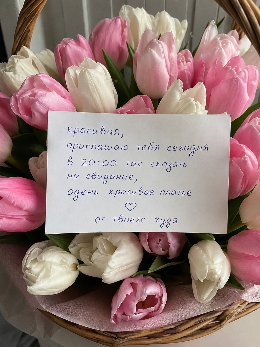 7900264cd25db81c1034627dbe8a7b57.jpg