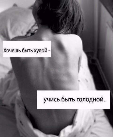 790706540211494a545fbe43656ce3b8.jpg