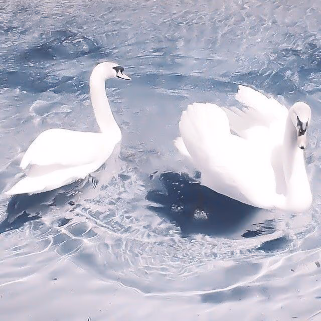 79152c5513b1b0723f615db280395468.avif