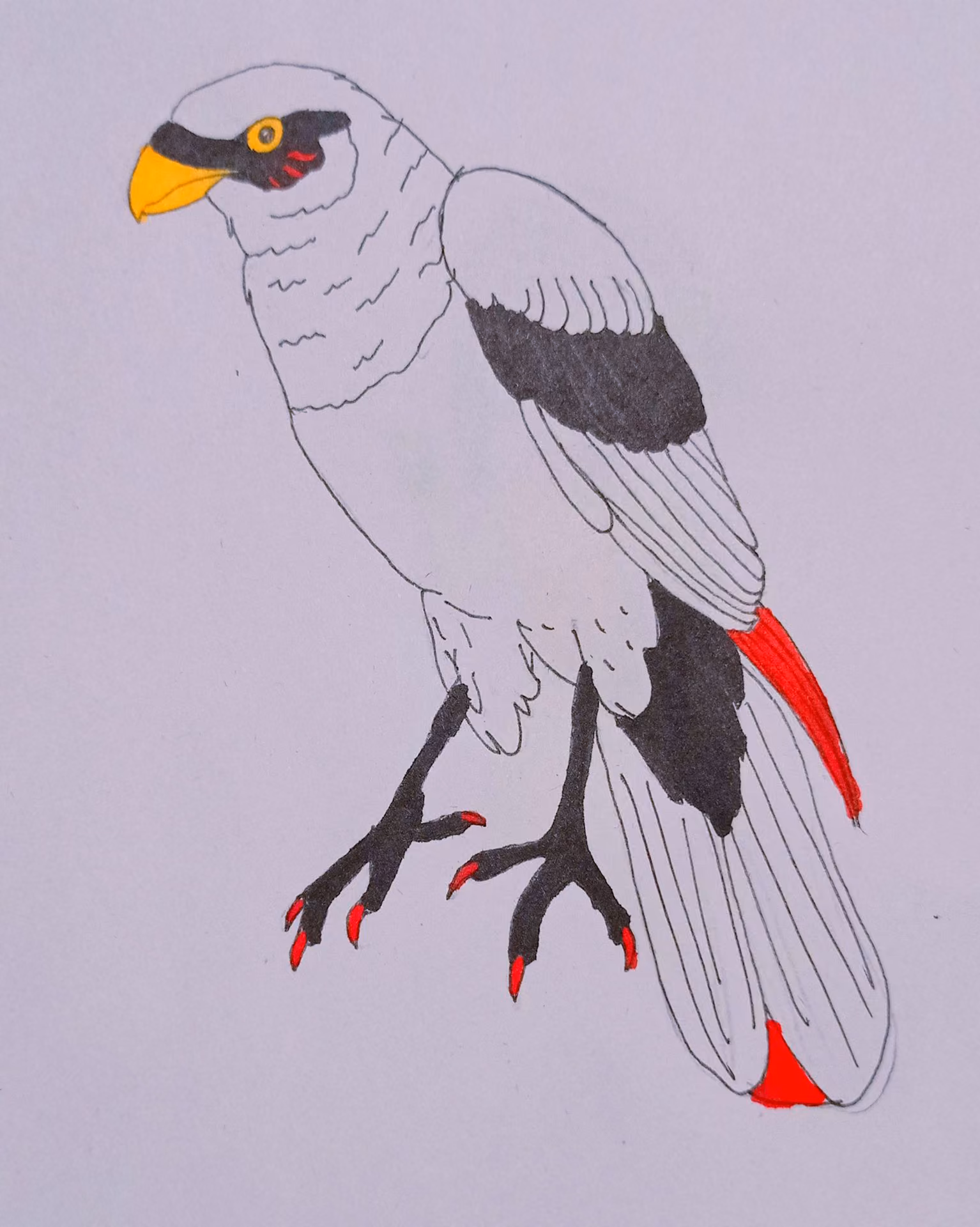 796605b5b395ba2d4cf5708d5e978012.avif