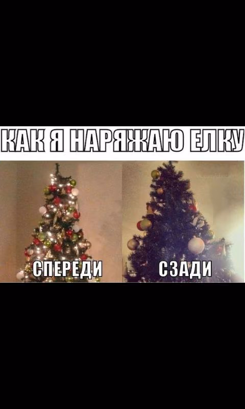 798453df527fa431c71dec9fb07bebd1.avif