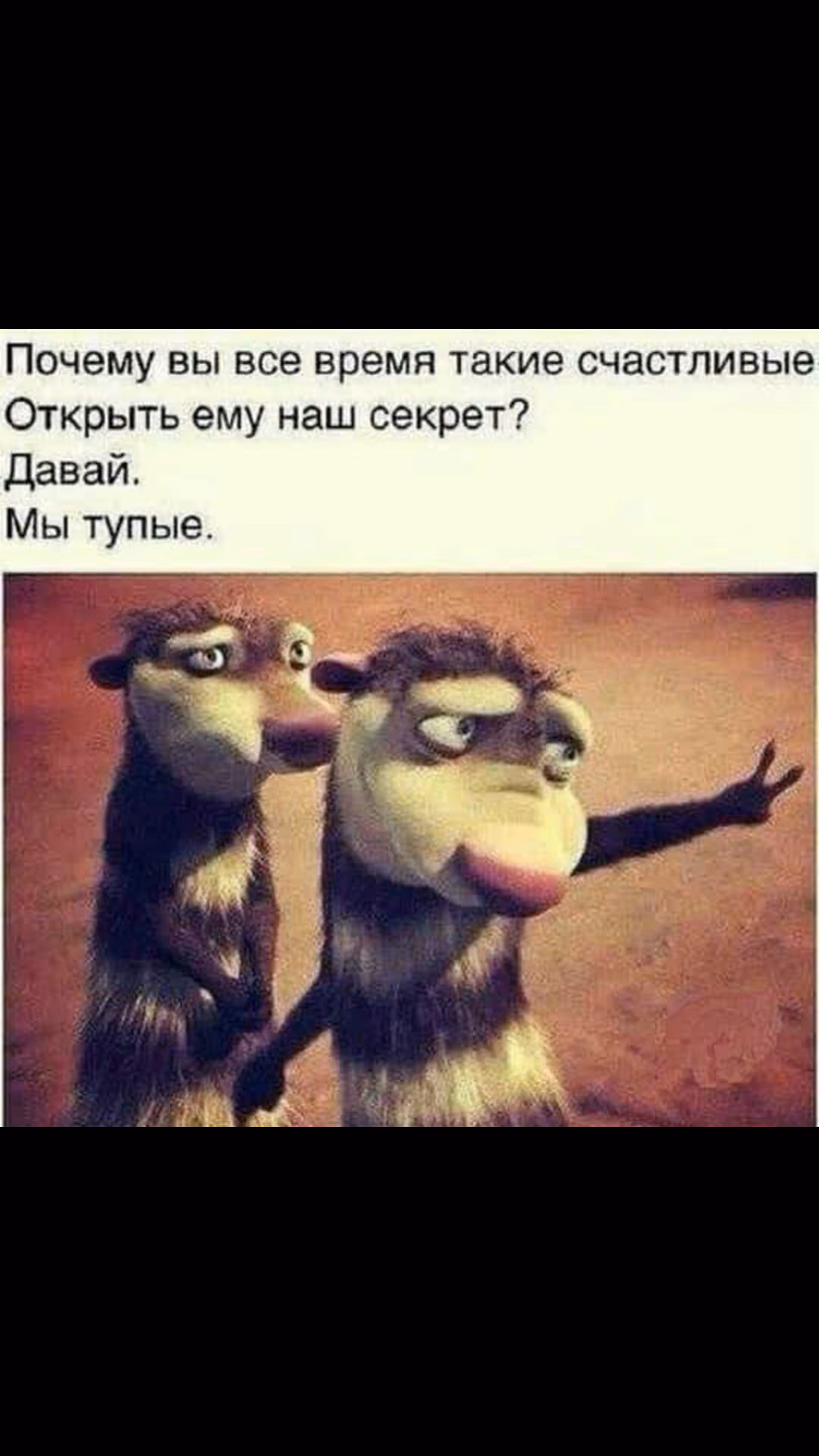 798582b29b9654c71bbbb1e5dbf84c21.jpg