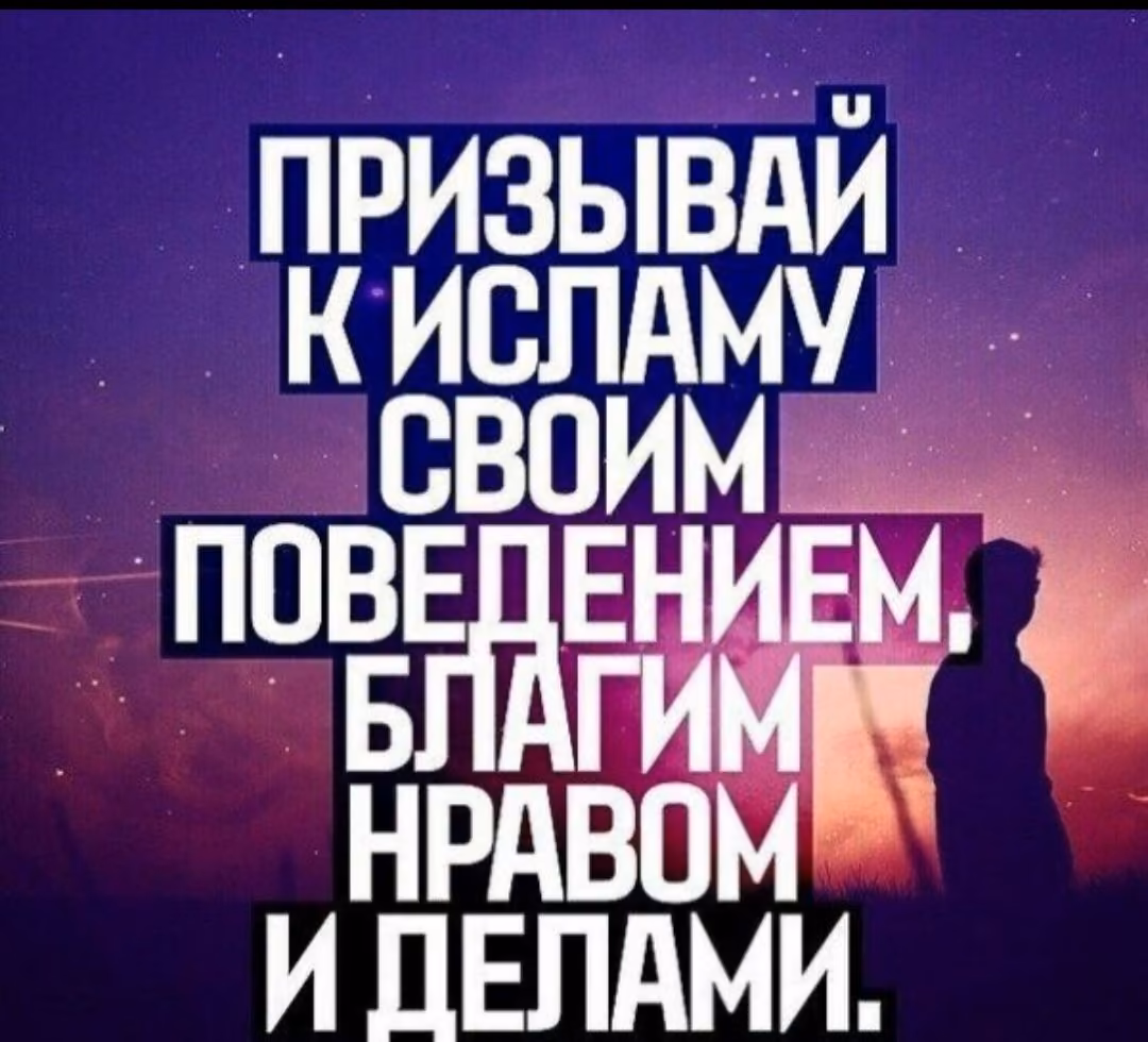79920cf9ee55c1dd2563a27522533e1a.avif