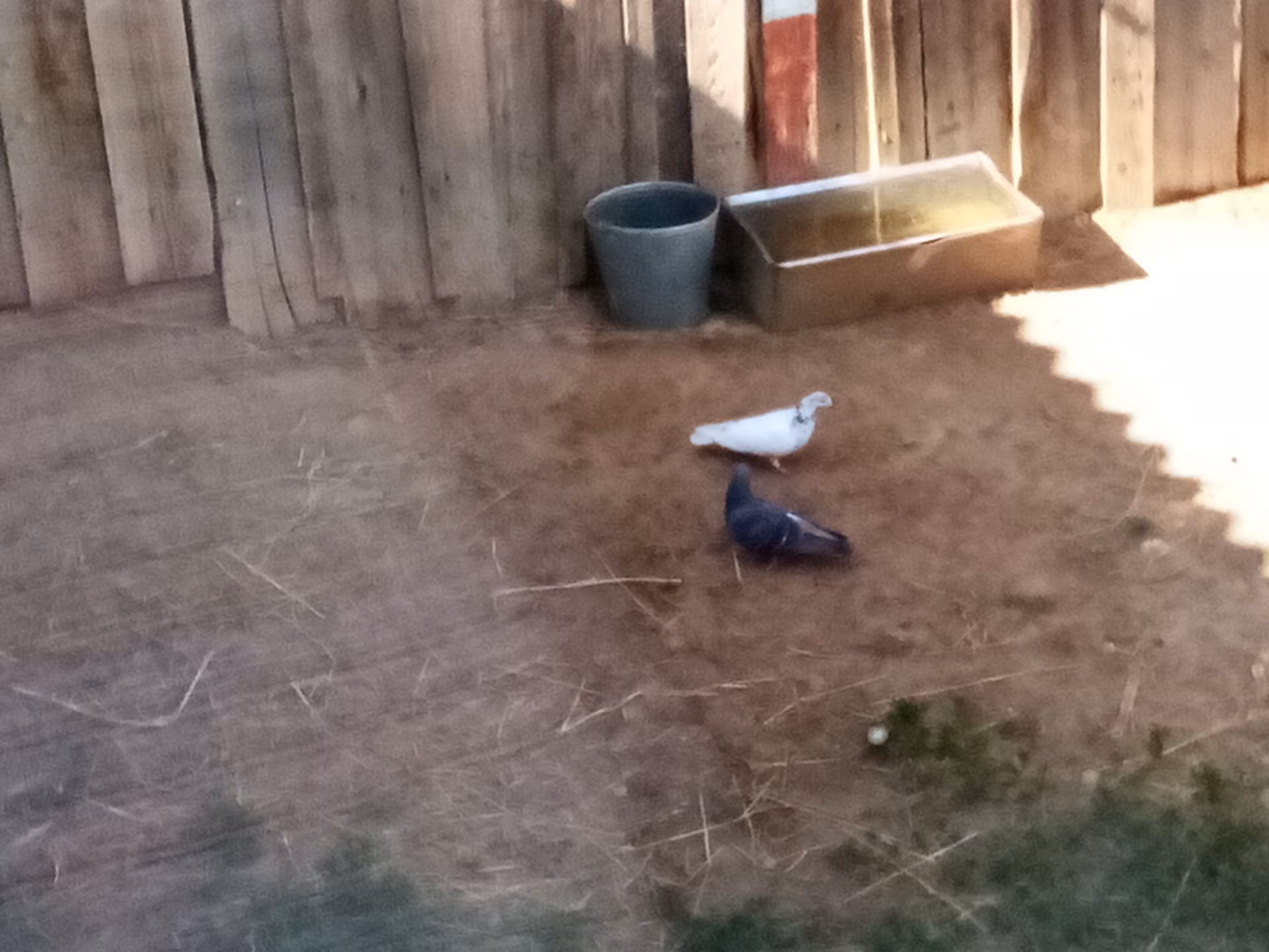 7992de643a75e743d659aaddea4651b4.jpg