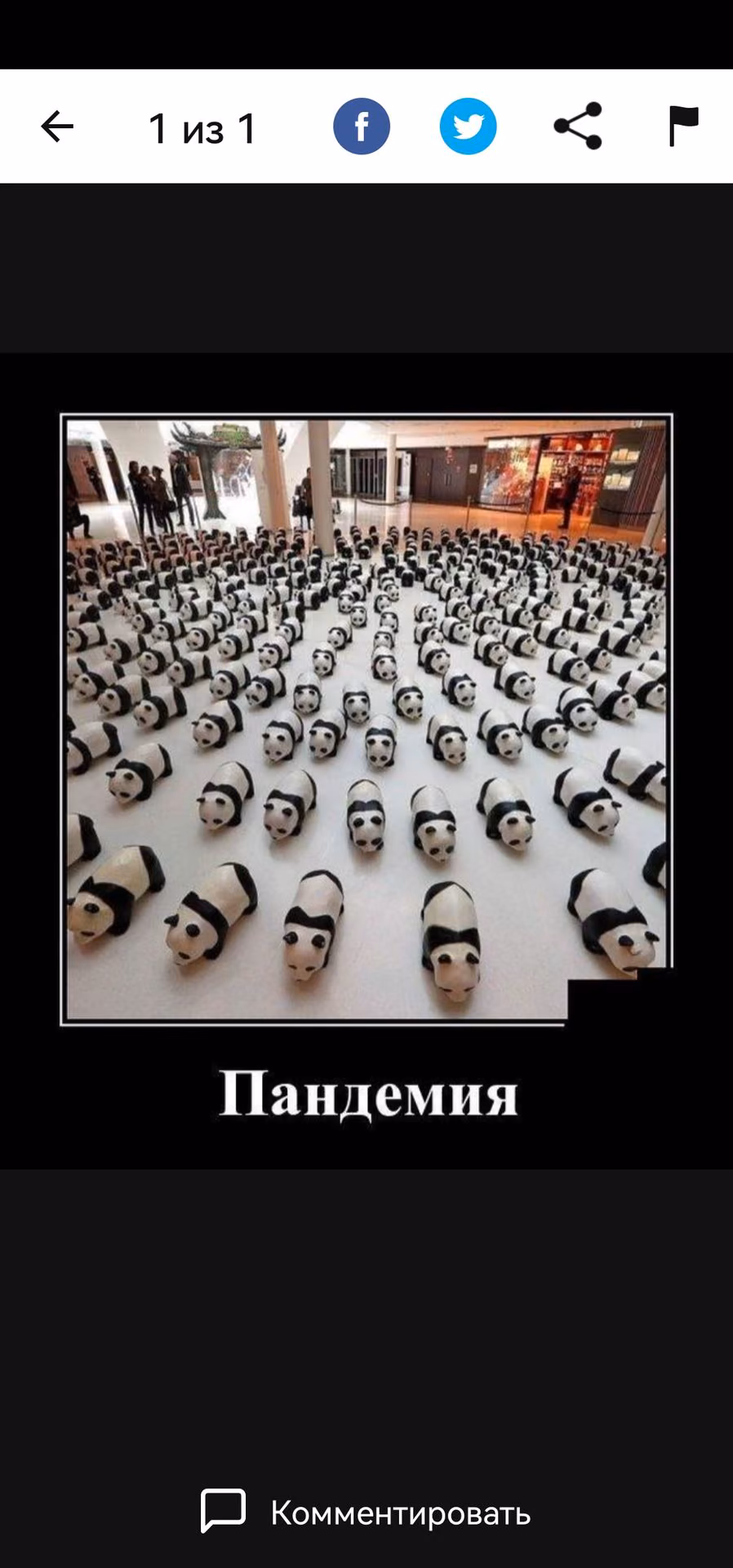 79c685167a7c4c2e5280774102e1ff67.jpg