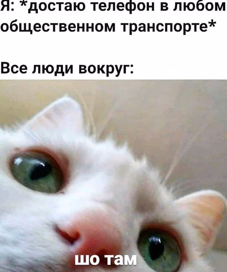 79cd4a2b4c56c77104c3f02950850a35.jpg