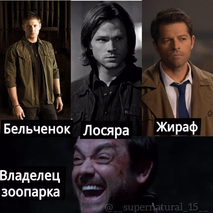 79cdb910a0ccb1d98b692d3303a6ca58.avif