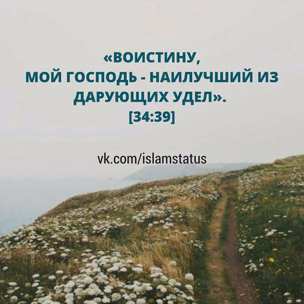 79d1ee0713de7296b18420a24ab3cd8e.avif