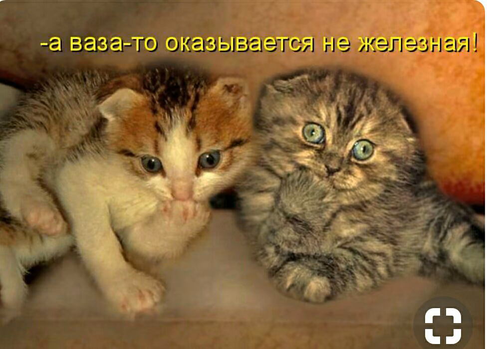 79db53f2da2af5f2d292f0a06b680dd8.jpg