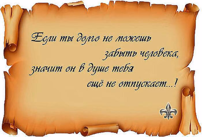 79e5746064a7c370f8e6e82af8762c66.avif
