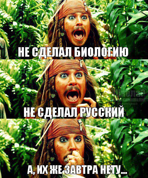 79f6adf2663f1bcc51c9277d76424232.avif