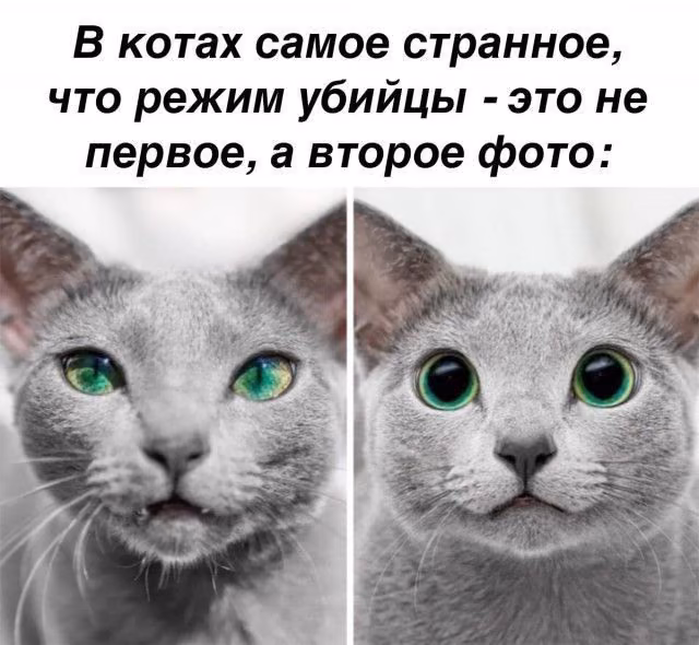 79fb7ad164cfbcd785a90c8e0996b930.jpg