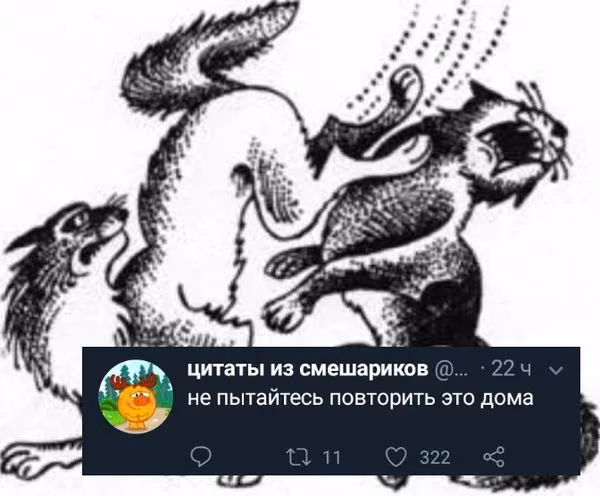 79fbfbac37d21a4fbd793152c804608c.avif