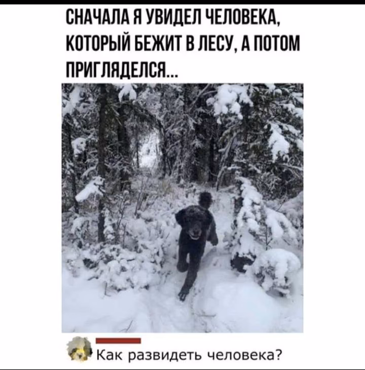 7a1a040cbe1486dcd1130d9f497e1ae5.avif
