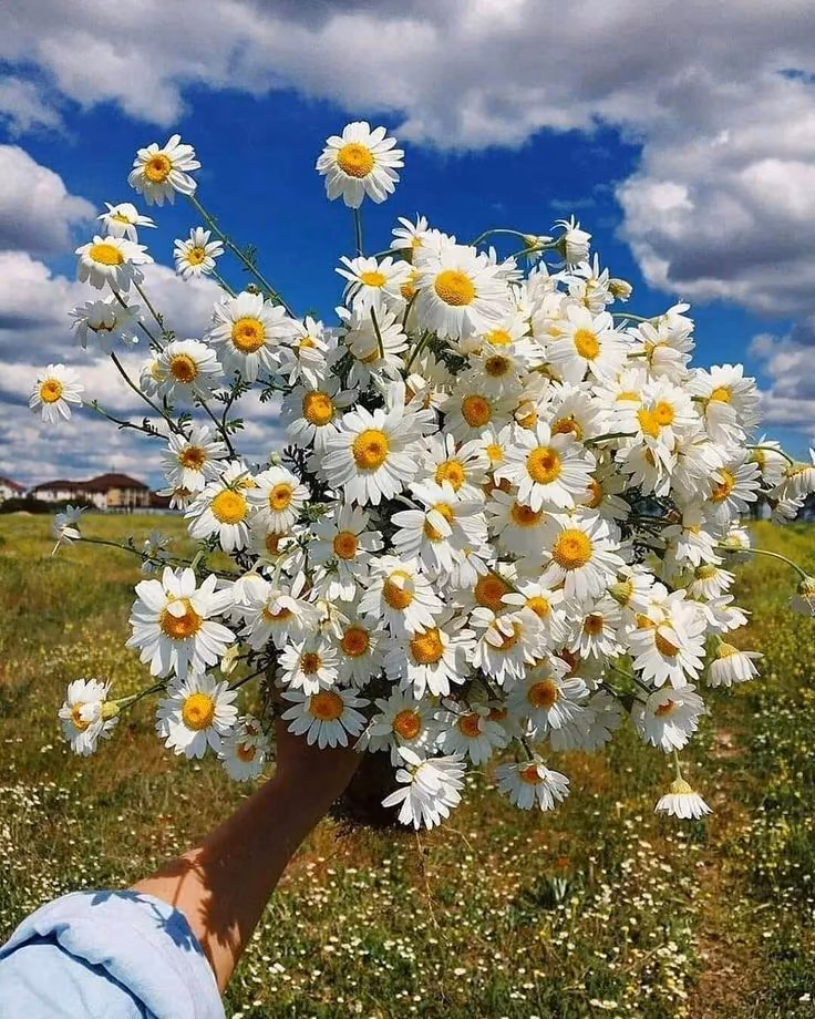 7a27f1bf3722fde5c3deeb4d07e00921.avif