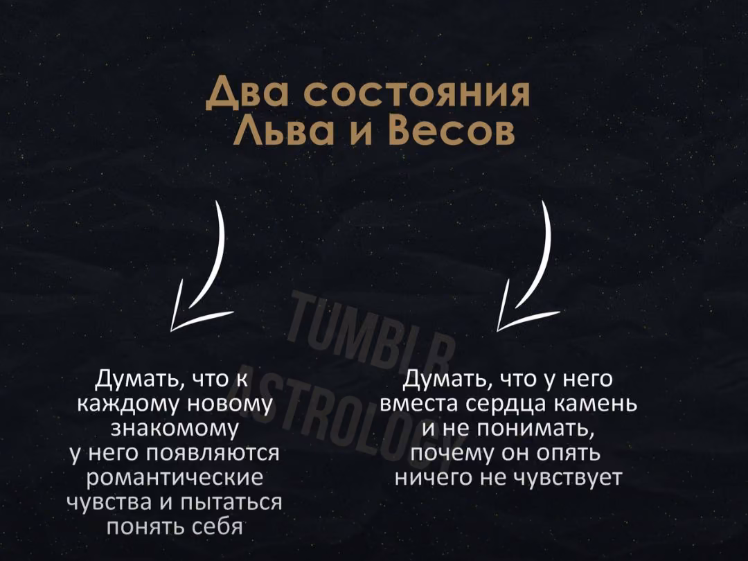 7a28bc94138f437cbb4c15666d4dbe20.avif
