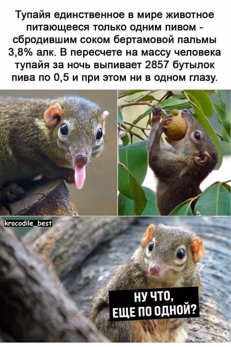7a28f2a3f2d59a9773315a36f2560168.avif