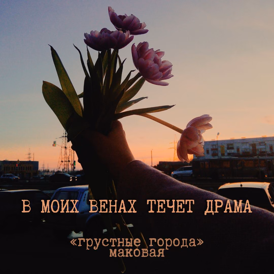 7a2db935fa03475693807e5652059328.avif