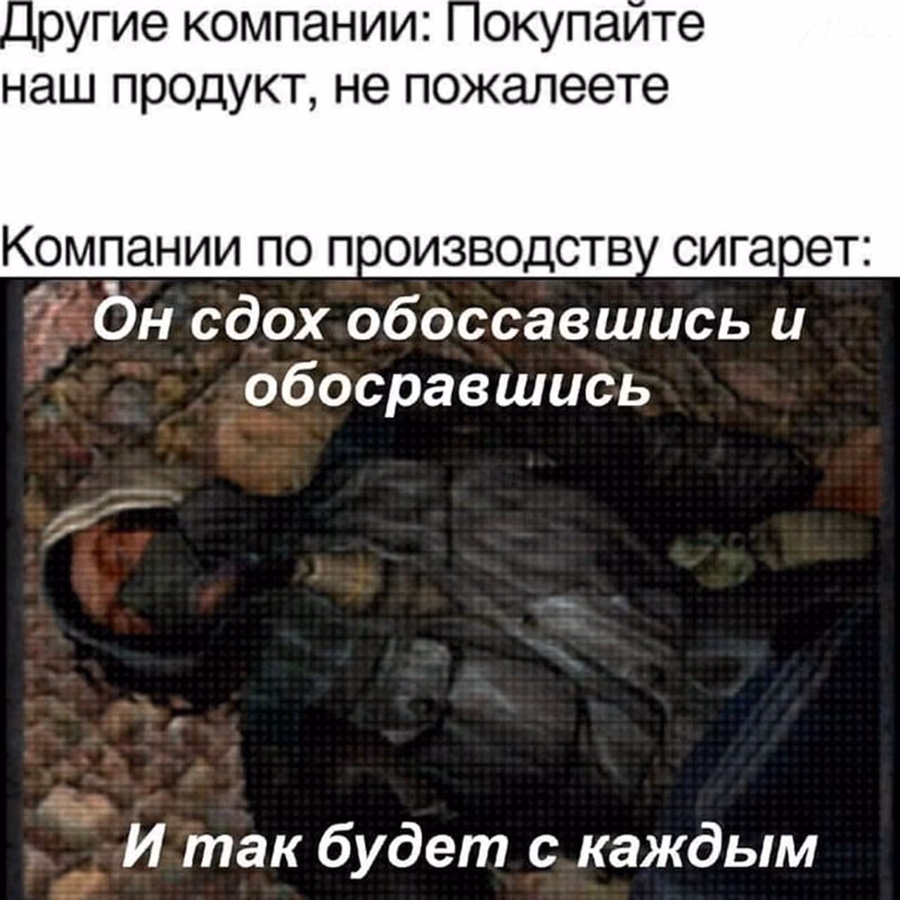 7a32cba7f71347208f7bce3b56d9a797.avif