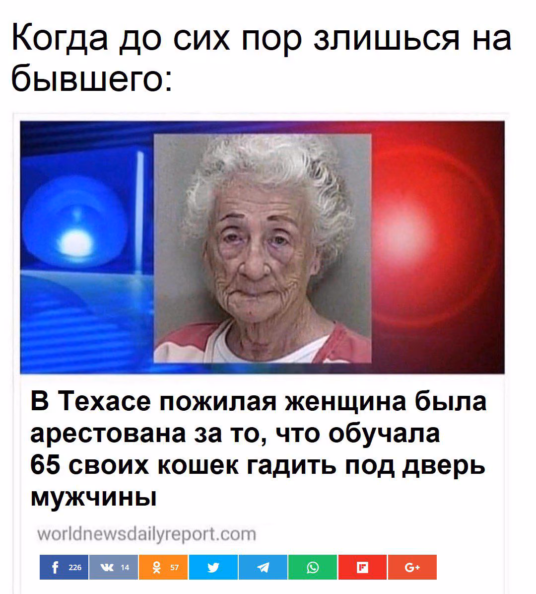 7a3e0e0757f2bcf601516a46e3a1802d.avif