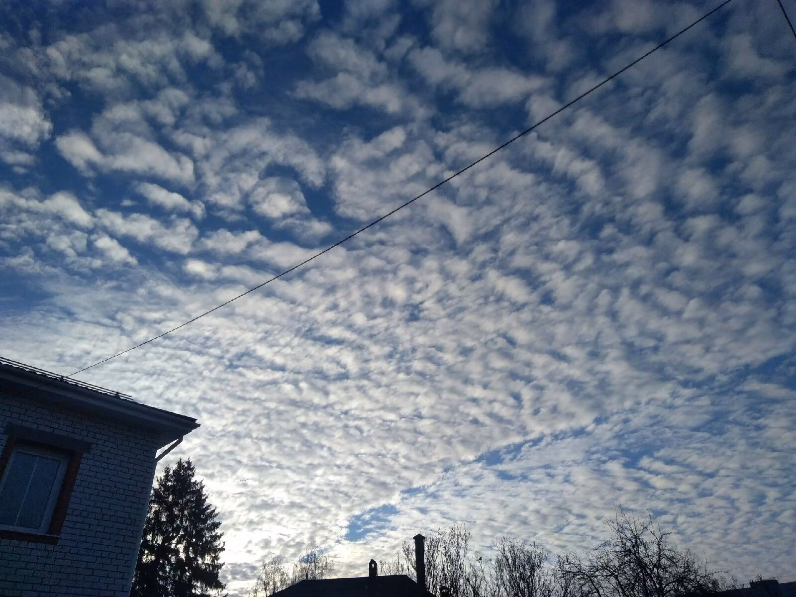 7a3e237fd61a317414a1a3026b1e9c12.jpg