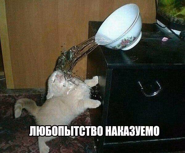 7a627a9229ad90afae1e70d2657c1da6.avif