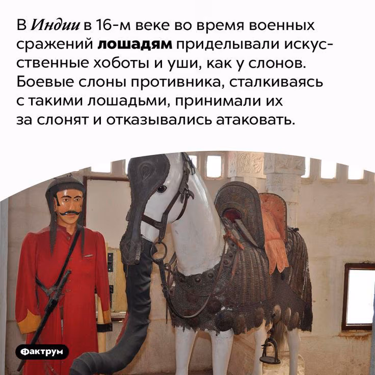 7a861995f9e5a7af505a3a50d65e1370.avif