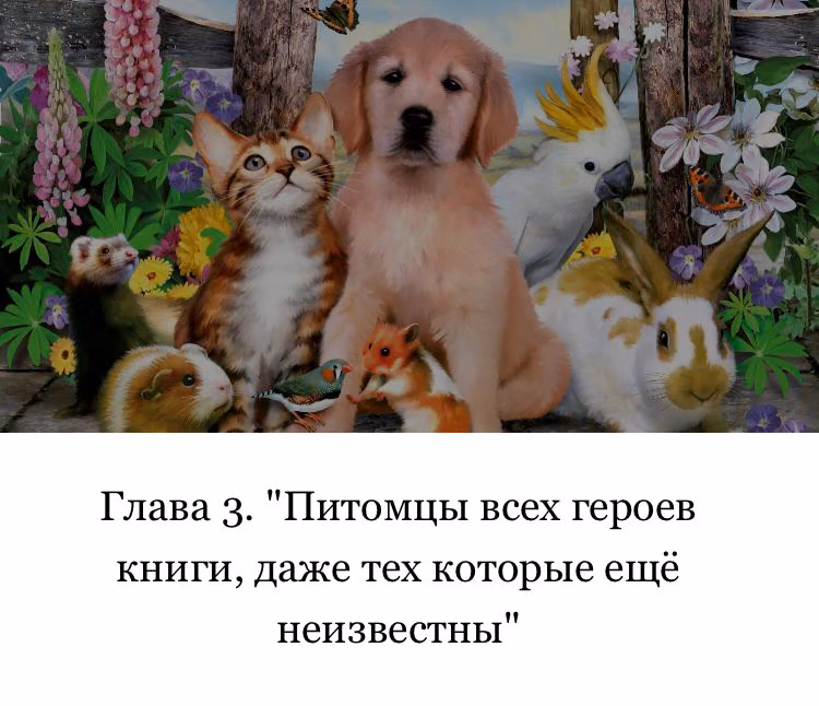 7a907da40a78412b0c571cd5a8c8b1a8.jpg