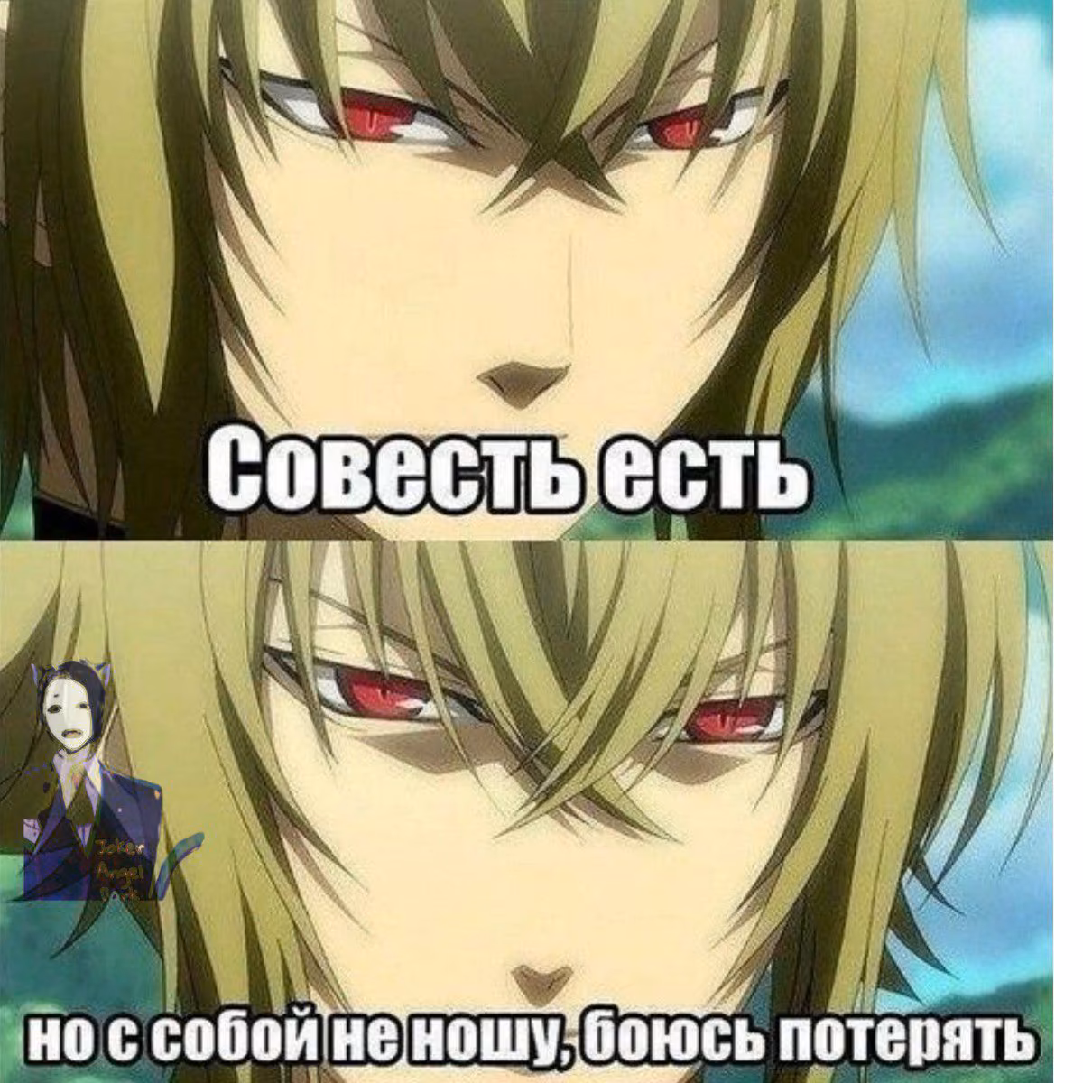 7aa5f6b867a84276cfdfb4f3da4df4f6.jpg
