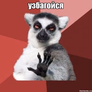 7aac589e02b87c394e3661addab26e60.avif