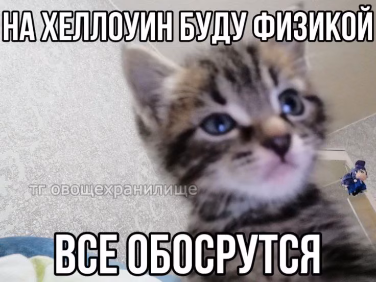 7aba082f66259d9976da91fa90934de0.jpg
